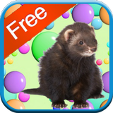 Ferret Games - Free biểu tượng