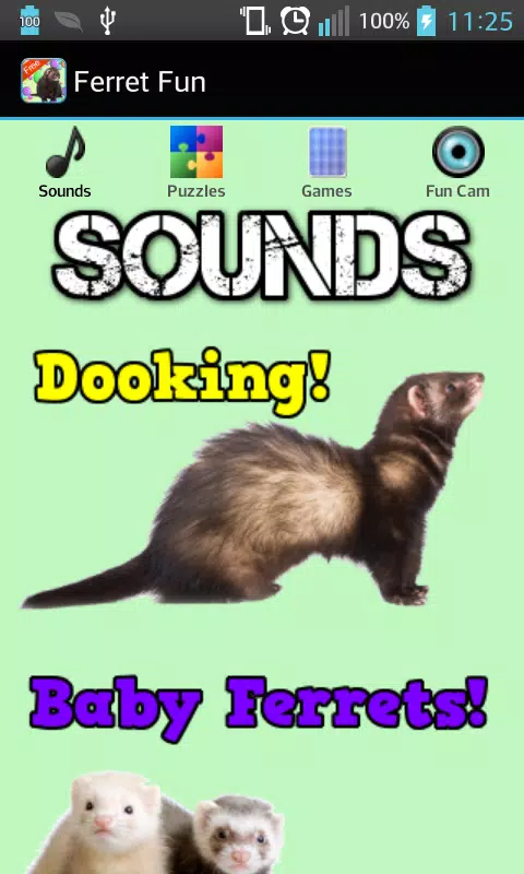 Ferret Games - Free APK for Android Download