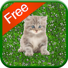 Kitten Games for Girls - Free icono