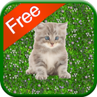 ikon Kitten Games for Girls - Free
