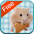 Hamster Games