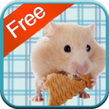 ikon Hamster Games