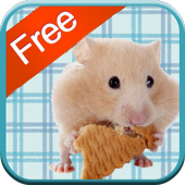 Hamster Games icon