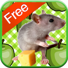 Mouse Games for Kids - Free أيقونة