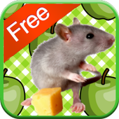 Mouse Games for Kids  icon