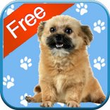 Puppy Games for Kids - Free