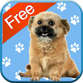 Puppy Games for Kids  icon