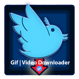 |Video | Gif |Tweenloader Pro| icône