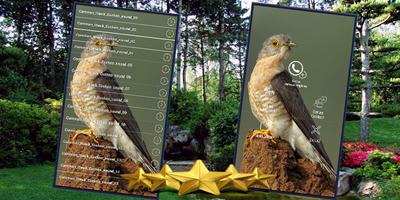 Common Hawk Cuckoo Sound : Brainfever Bird Sound poster