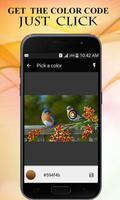 Live Photo Color Picker Camera - Color Code Reader ポスター