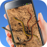 Live Wallpaper Snake Screen icône