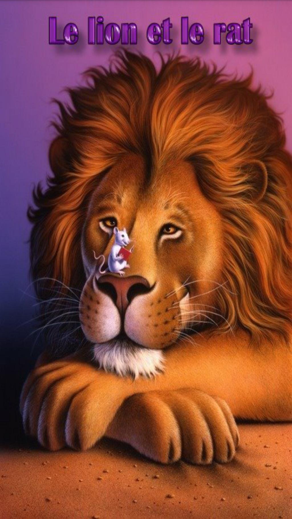 Лев мужчина цвет. Спокойный Лев. Открытки с изображением Льва. Картина "Лев". Спокойной ночи Лев.