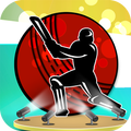 Amazing IPL 2015!
