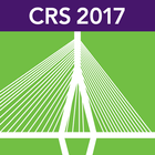 CRS Meeting-icoon