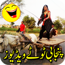 Punjabi Totay APK