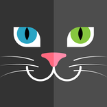 Photo Puzzle : #catrait