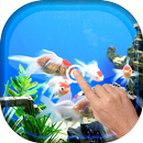 Magic Ripple - Aquarium APK