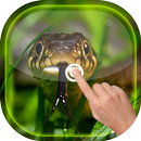 Magic Ripple - Snake LWP APK