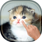 Magic Touch - Cute Cat आइकन
