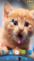 برنامه‌نما Magic Touch - Cute Cat عکس از صفحه