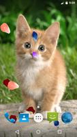 برنامه‌نما Magic Touch - Cute Cat عکس از صفحه