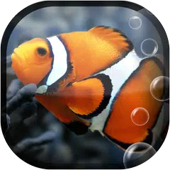 Fish Aquarium Live Wallpaper アプリダウンロード