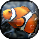 Fish Aquarium Live Wallpaper APK