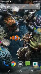 download Fish Aquarium Live Wallpaper APK