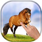 Icona Magic Touch - Racing Horses