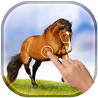 Magic Touch - Racing Horses ไอคอน