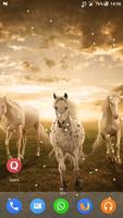 Magic Touch - Racing Horses poster