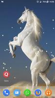 Magic Touch - Racing Horses 截图 2