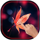 Magic Touch - Maple Leaves Live Wallpaper আইকন