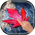 Magic Touch - Red Leaves icon