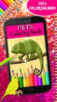 Pets Coloring Book Affiche