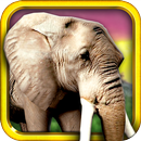 Safari Run - Jam Animal Runner APK