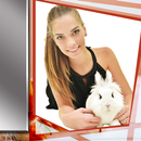 Cadres mignons de lapin APK