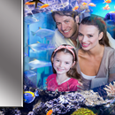 APK Aquarium Frames Editor