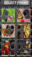 Beautiful Butterfly Frames screenshot 1