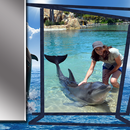 Dolphins Frames For Photos APK