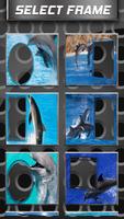 برنامه‌نما Dolphins Frames For Photos عکس از صفحه