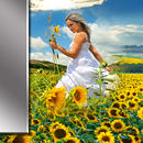 Bingkai foto bunga matahari APK