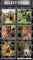 برنامه‌نما Wild Animals Photo Frames عکس از صفحه