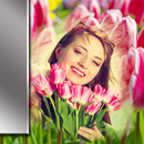 Tulips Photo Frames APK