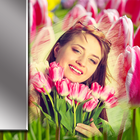 Cadres de photos de tulipes icône