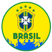 Papel de parede da equipe do Brasil -copa do mundo