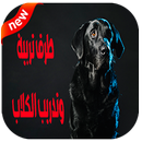 كيفية تربية وتدريب الكلاب 2018‎ APK