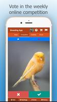 Canary Breeding App スクリーンショット 1