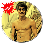 Bruce Lee Wallpaper HD icône