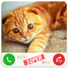 Fake Call Cat 圖標